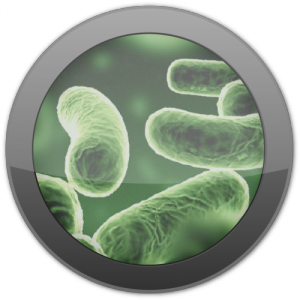 legionella_icon-e1412486037897